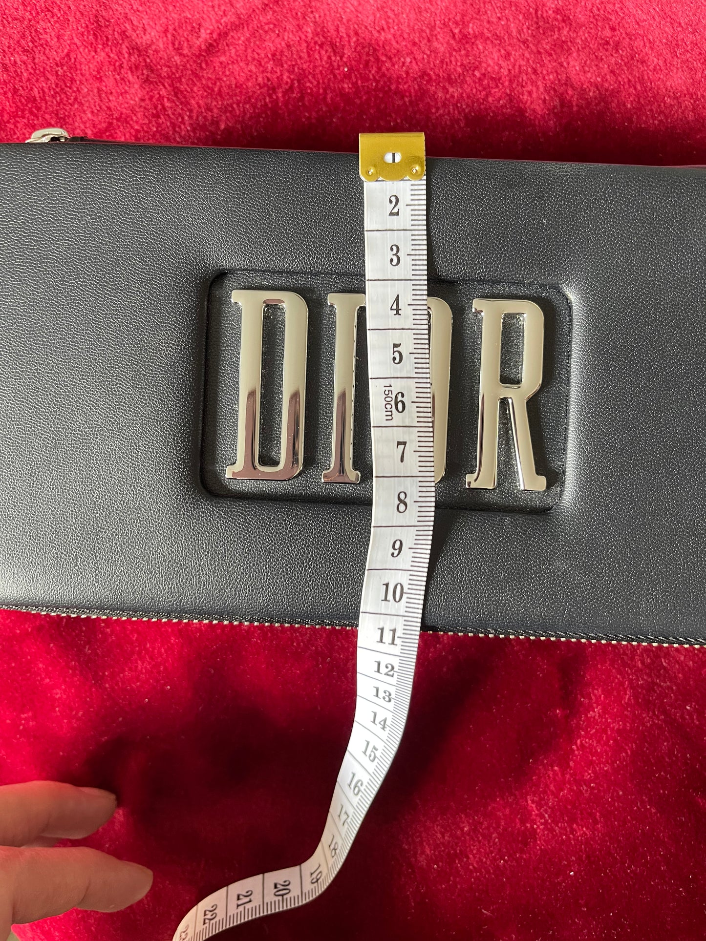 Dior Vanity Clutch