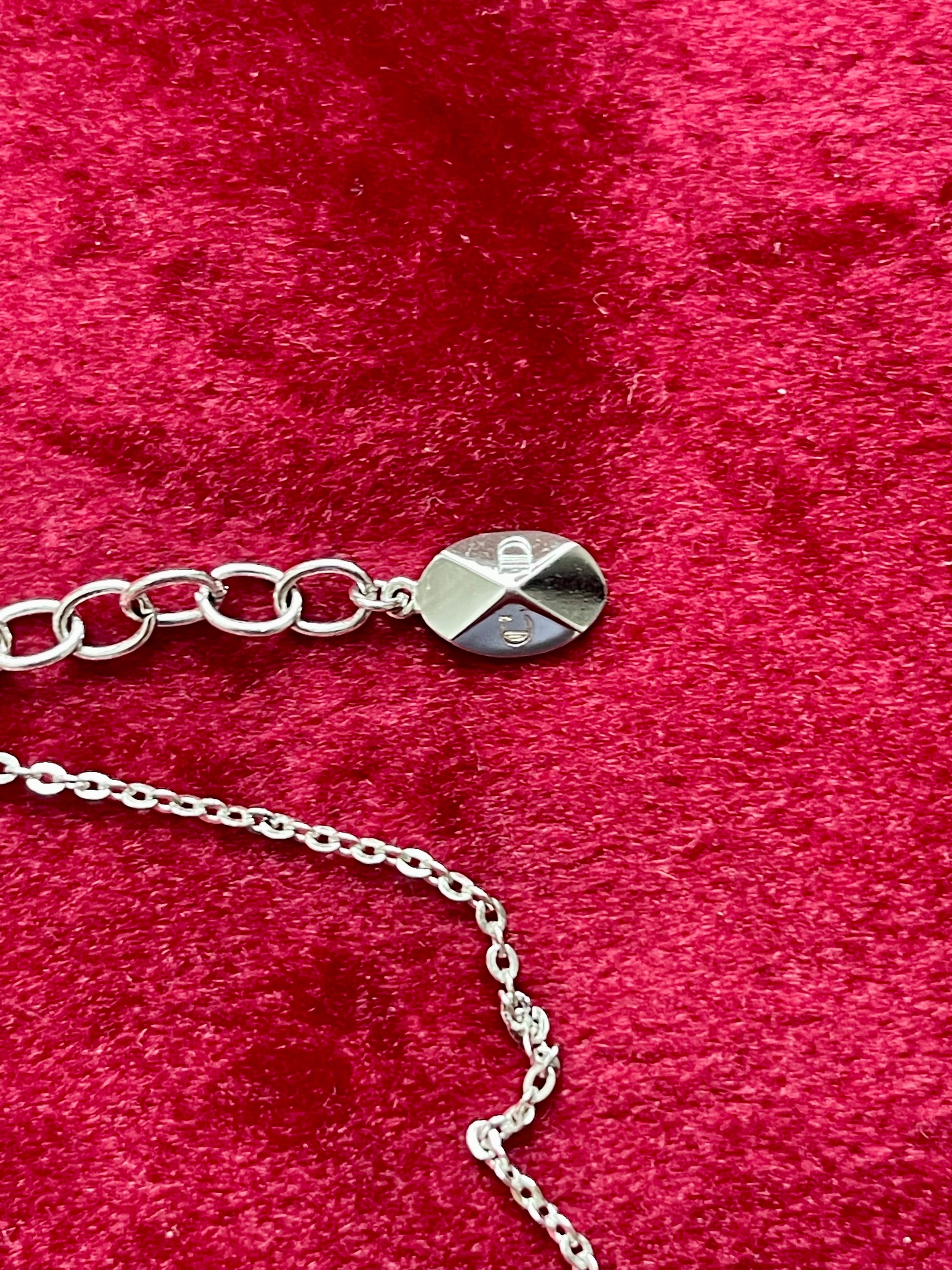 Close-up of the Dior necklace extension chain and oval logo tag on a red velvet background
