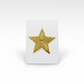 Star dior brooch on white background