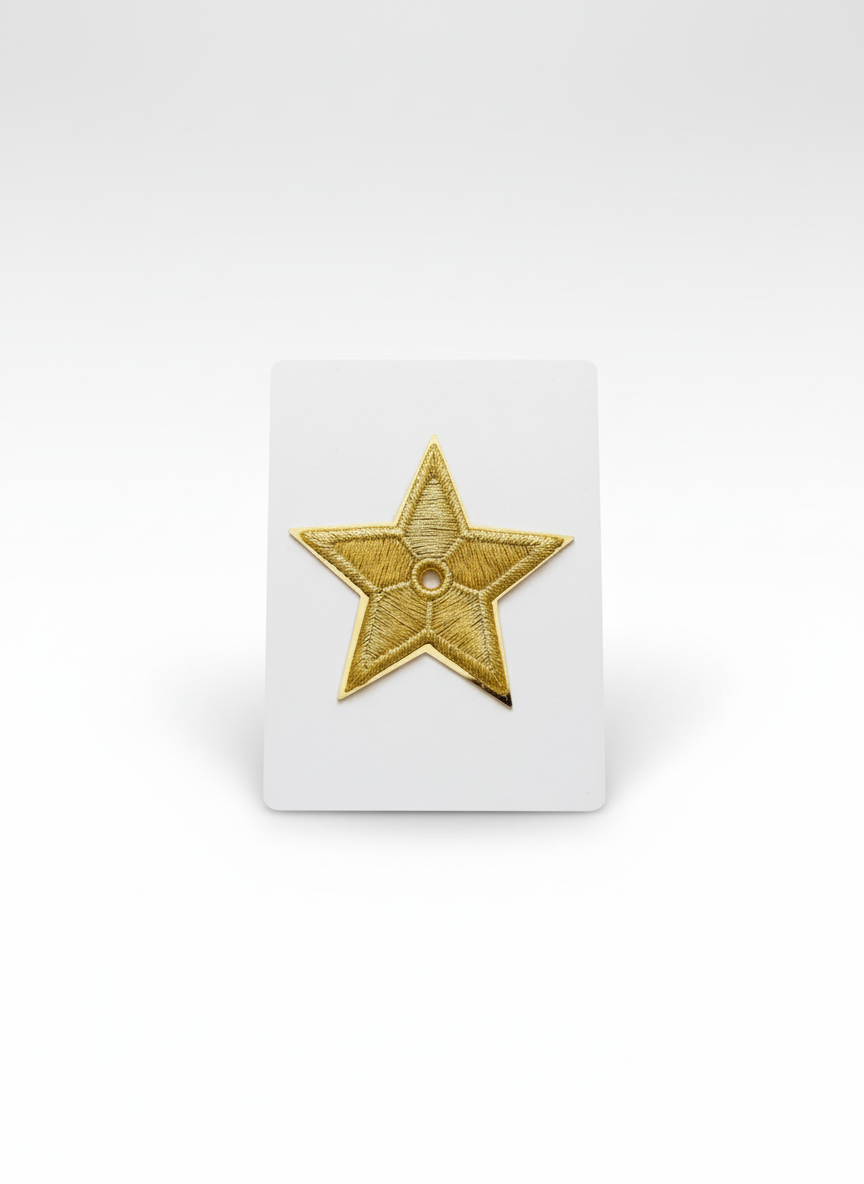 Star dior brooch on white background