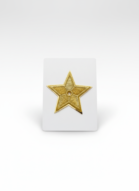 Star dior brooch on white background