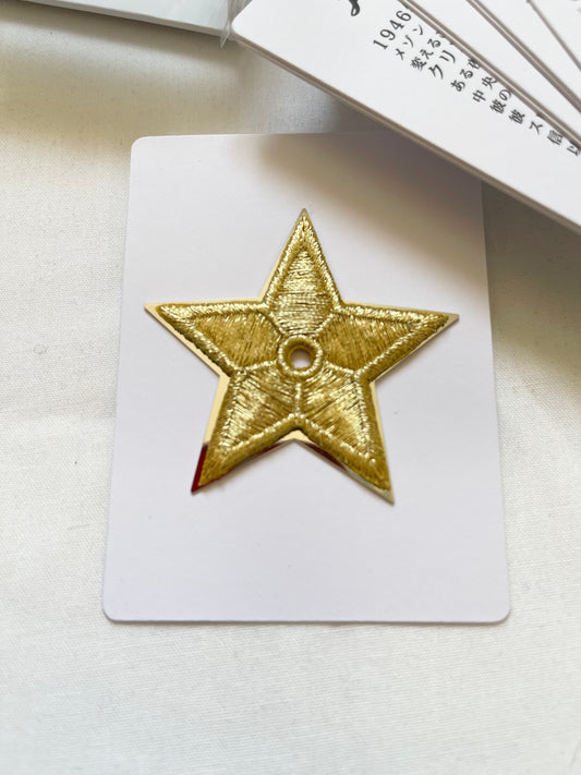 Pin de estrella Dior bordado en oro