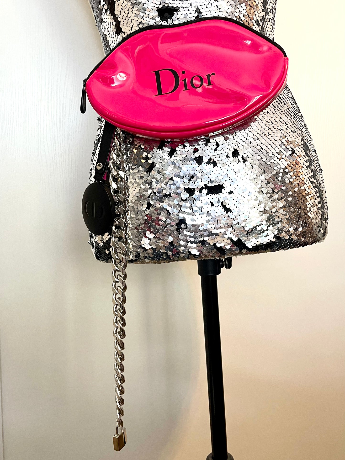 The kiss up cycled Dior pouch