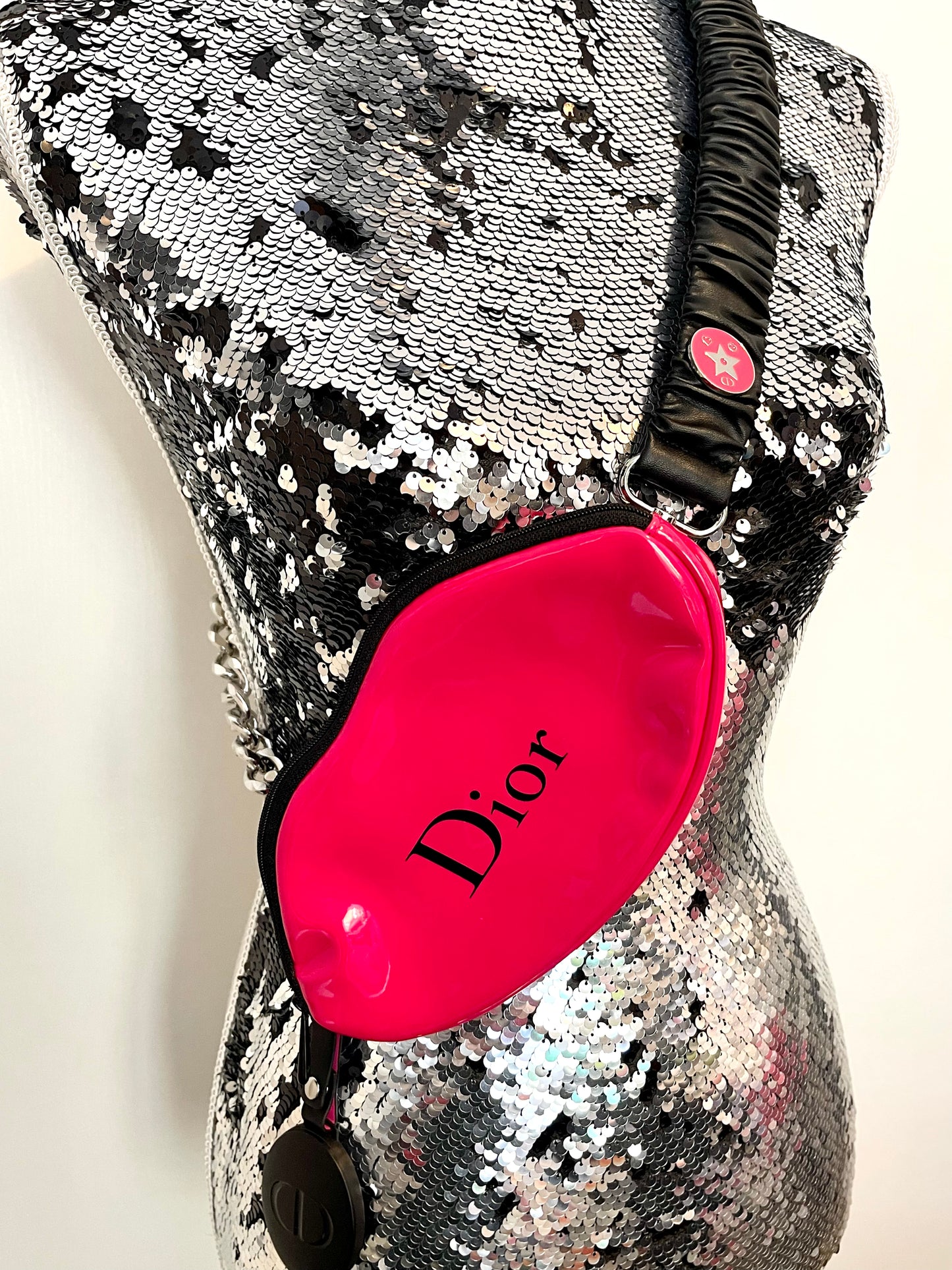 The kiss up cycled Dior pouch